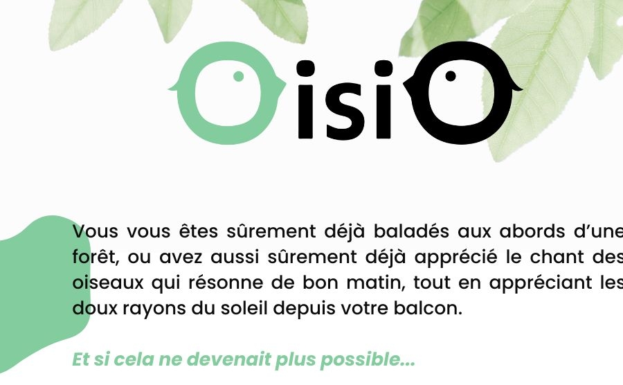 OisiO: la mangeoire connectée « OisiO » lance une campagne de financement  participatif